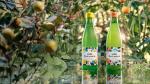 Sarajevski kiseljak Botanica – novitet iz Sarajevskog kiseljaka Sarajevski kiseljak Botanica – novitet iz Sarajevskog kiseljaka